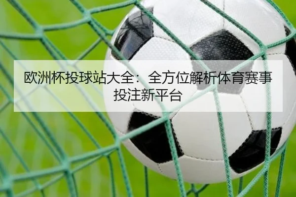 欧洲杯投球站大全：全方位解析体育赛事投注新平台