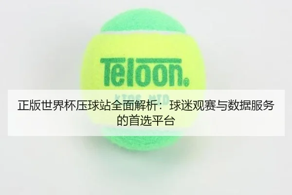 正版世界杯压球站全面解析：球迷观赛与数据服务的首选平台